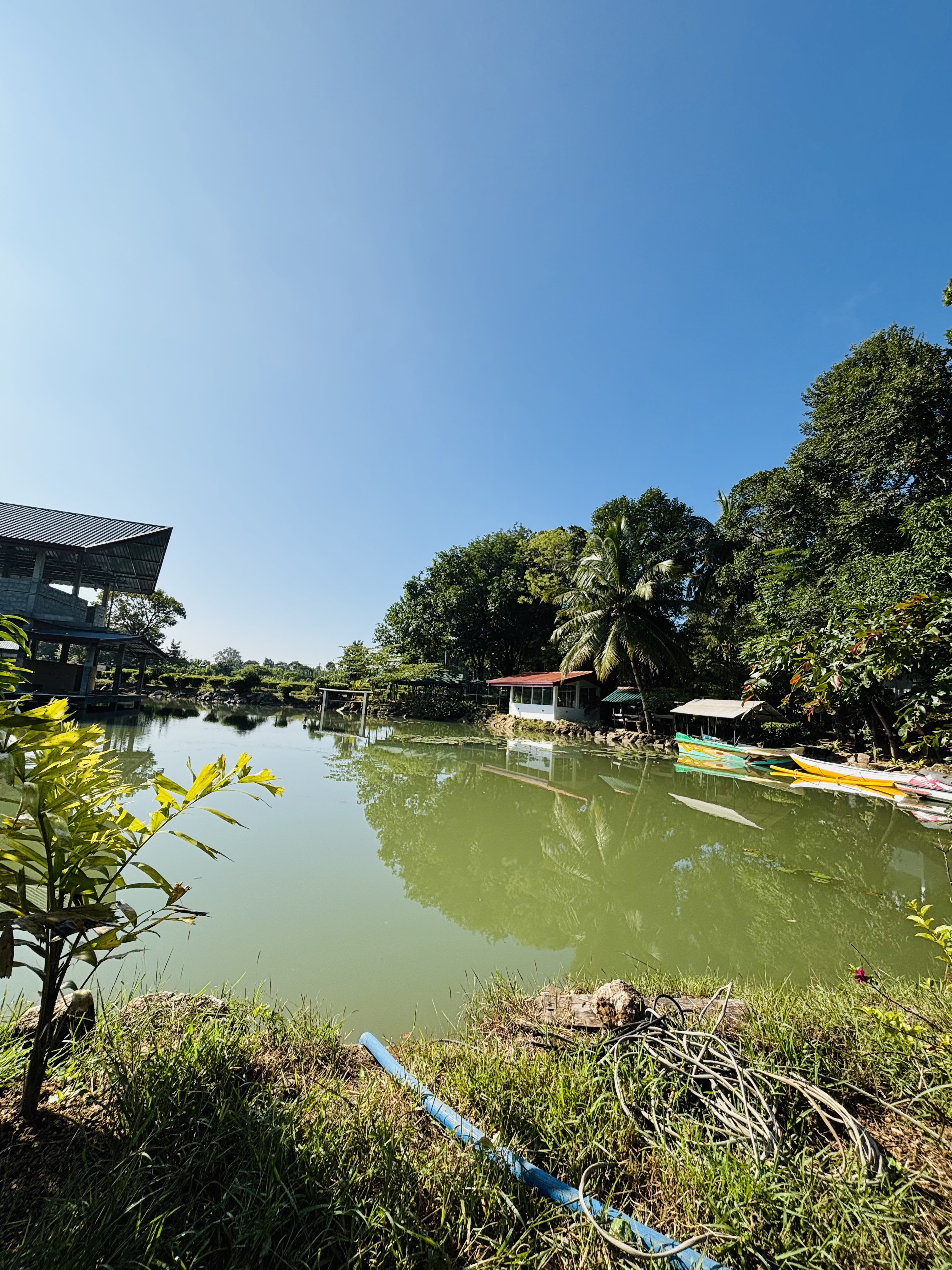 photo gallery eleven