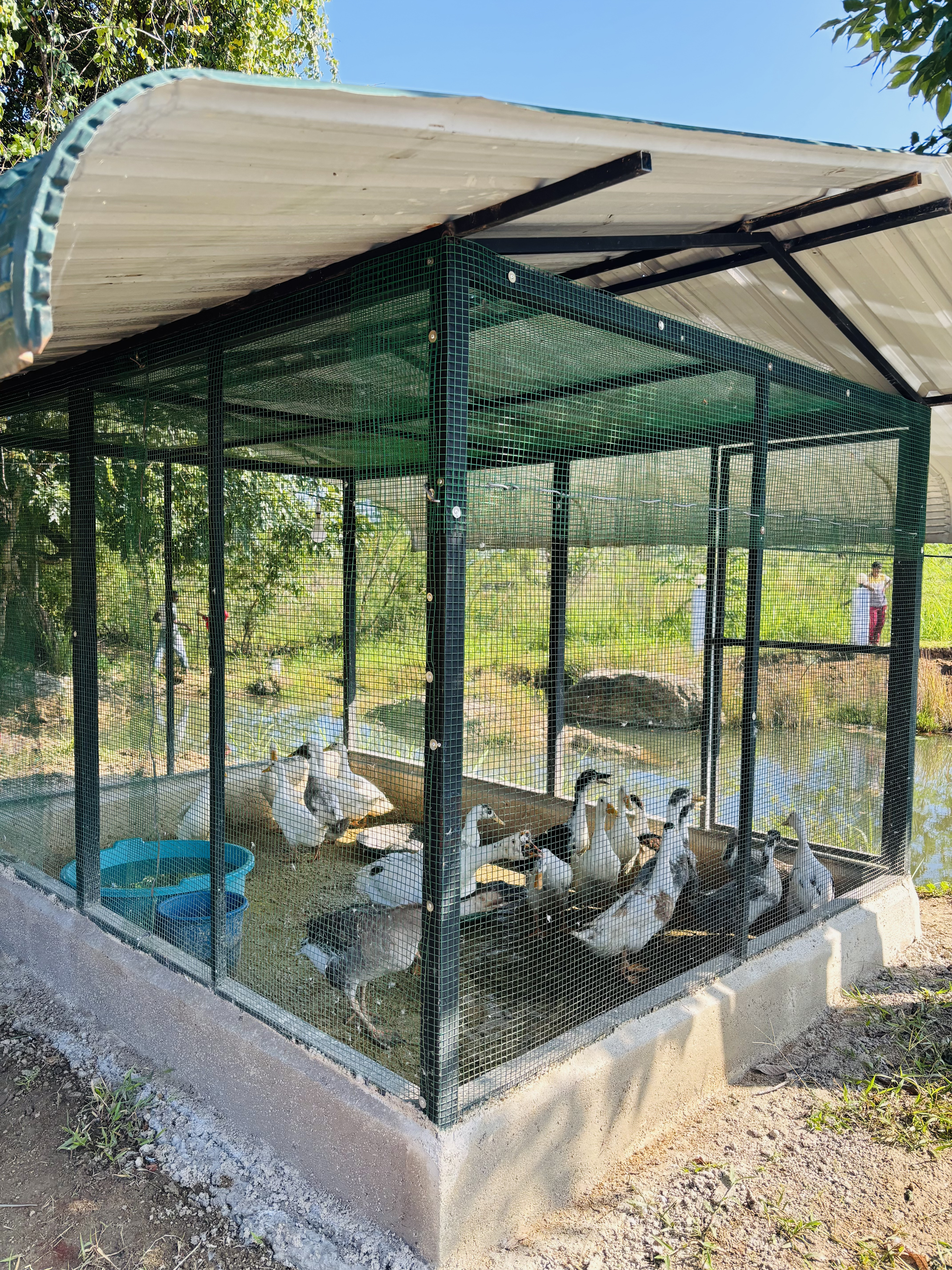 photo gallery twelve